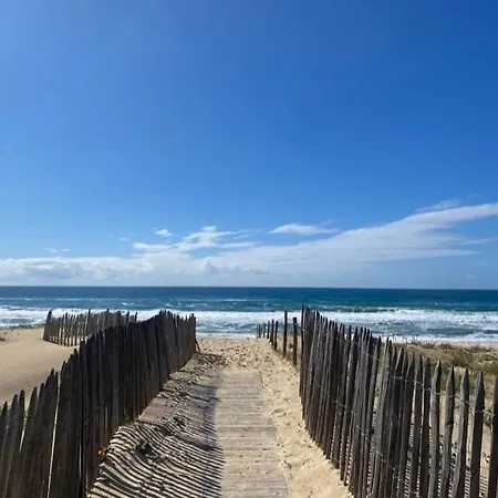 Vue Ocean *